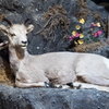 P6044692