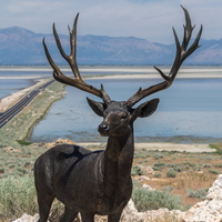Antelope Island