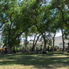 P6208132