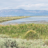 P6208185