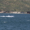 P6218237