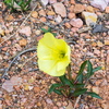 P6248613