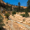P6248616