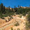 P6248618