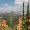 P6248649