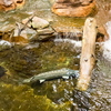 P6258850