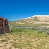 P6198039