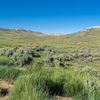 P6198047