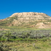 P6198051