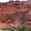 P1130985