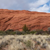 P1130991