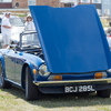BC113376