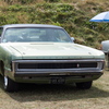BC113404
