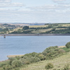 BC174136
