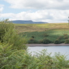BC174158
