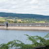 BC174163-Pano