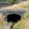 BC174166