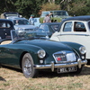 BC194208