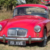 BC194221