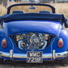BC194222