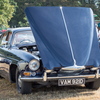BC194235