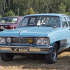 BC194236