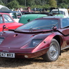BC194239