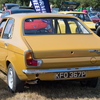 BC194255