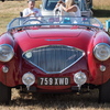 BC194269