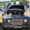 BC194285