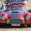 BC194289