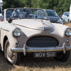 BC194299