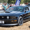 BC194305
