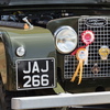 BC194315