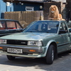 BC124630