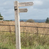 BC175481