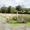 BC175493
