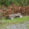 BC175501