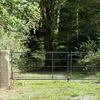 BC175502