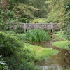 BC175506