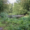 BC175513